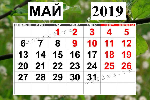 Как будут отдыхать татарстанцы в мае